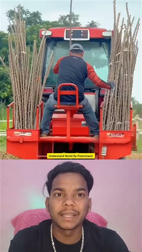 Zinda Deewar: The Ultimate Living Fence! ✨ #explorepage #viral #explain #explorer