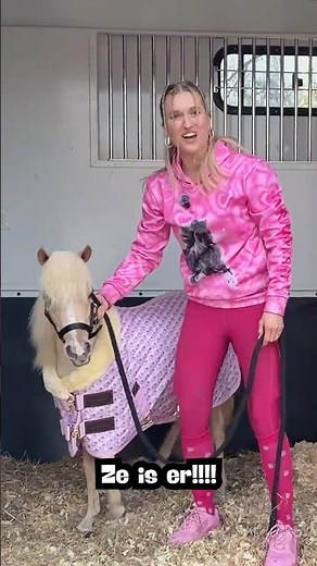 Scottie comes home 🦄🩷| PaardenpraatTV #paarden #horse #brittt #paardenpraattv #scottie #equestrian
