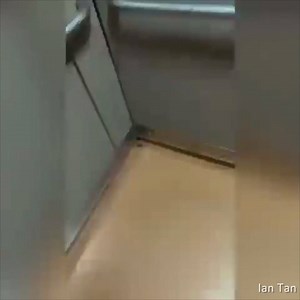 Everyone is a gangsta until the cockroach starts flying. 📹Ian Tan | fb.me/eeyannnn | 9GAG