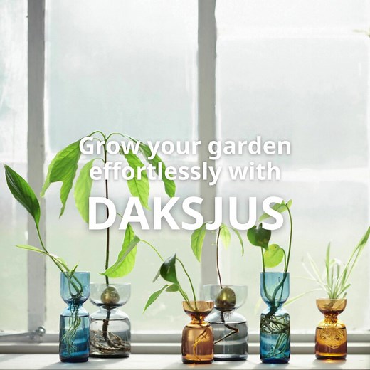 120 reactions · 12 shares | Simply add water and watch your plants thrive with minimal effort. Explore our DAKSJUS collection today and start your low-maintenance gardening journey! #IKEAMalaysia #EasyGardening #DAKSJUS | IKEA | Facebook