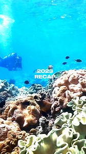 Here's to another year of diving safety! #recap | DAN Europe (Divers Alert Network Europe)