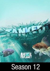 Tanked: Fish Out of Water Special
