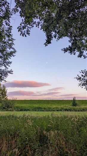 Andrew Mitchell on Instagram: "something I’ll be forever obsessed with the sky changing colors before night falls the moon appearing when everything else fades the way clouds move like they know where they’re going there’s peace in just watching in slowing down in feeling small but safe at the same time maybe that's why we keep looking up because somehow the sky always reminds us how beautiful it is to simply be here 💫"