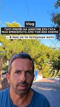 Γιατί είναι ακραία σημαντικό να έχει η γάτα επαφή με τον εξω κόσμο; & πώς μπορούμε να το πετυχουμε;