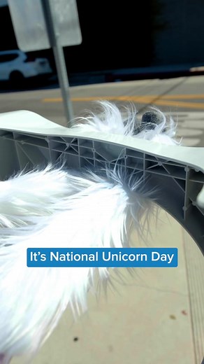 Dookie is giving away free Squatty Potty's to help you achieve the perfect bathroom posture. Don't miss out on National Unicorn Day! 🦄🚽 How to Enter: ✨ Follow @squattypotty ✨ Like this post! ✨ Tag your friends in the comments! BONUS Entry! ✨ Reshare this post to your stories tagging @squattypotty Giveaway is open to U.S. Residents only and will end on 4/14 at 4pm Pacific Time. Winners will be selected and contacted directly and will get to select a Squatty Potty of their choice