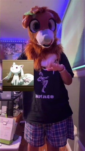 kohane and kyubey fictionkin💯🔥 / #costume #furry #shortsfeed #fursuit