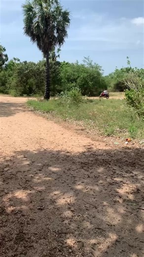 Anoos Anoos on TikTok