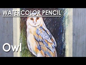 Watercolor Pencil Drawing : Owl