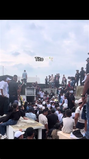 Tito 🤍🕊️ #fyp #fypage #amigo