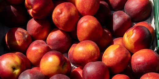 The Difference Between Peaches & Nectarines, According To Produce Experts