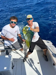 Fisty gaffer didn’t want to give up on our morning half! ..#dropoffsportfishing #fishing #fisherman #saltlife #billfish #tuna #marlin #wahoo #kingfish #snapper #grouper #mahi #sailfish #swordfish #pelagic #keywest #sportfishing #charterfishing #fishkeywest #charterfishingkeywest | Drop Off Sportfishing