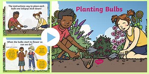 Planting Bulbs Numeracy PowerPoint