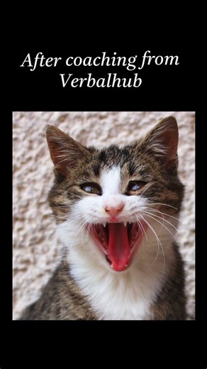 Coaching Reality Check 😂 Other Institutes vs VerbalHub