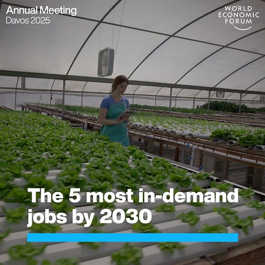 What are the 5 most in-demand jobs by 2030?