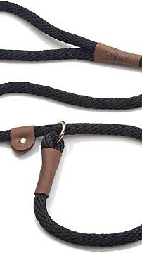 How to put a slip lead on a dog,