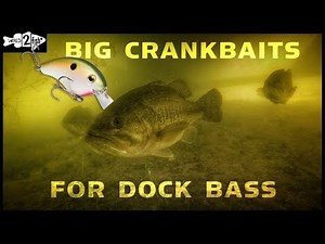 Why Use Aggressive Squarebill Crankbaits for Dock Bass