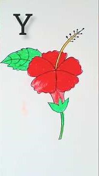 🌺How to draw hibiscus flower step by step| Easy drawing tutorial 🌺