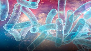 Syndromic Testing for Infectious Diseases: Multiplex Panels for Positive Blood Culture Bottles - Insights