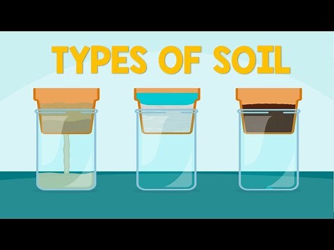Soil and Types of Soil | Animation