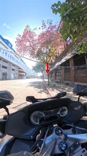 🛑 Stop sign means STOP🛑 Our traffic enforcement (TE) motors are out enforcing moving California vehicle code violations. California Vehicle Code 22450 VC requires all drivers to come to a complete stop when approaching a stop sign behind the limit line. It prohibits rolling stops, and the vehicle must stop before entering an intersection’s limit line or crosswalk. If there is no limit line or crosswalk, the driver must stop at the entrance to the intersecting roadway. For everyone’s safety, pl