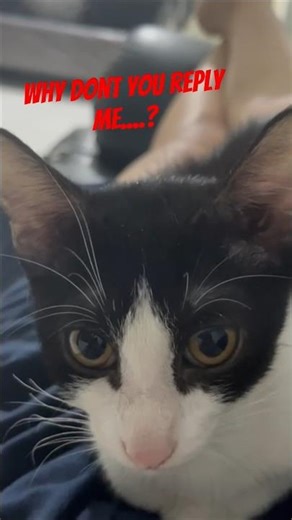 why Don't you reply me..... nova and sapi... if anyone knows the answer let me know in the comments.