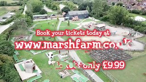 38K views · 86 reactions | Are your Kids festival ready? Grab...