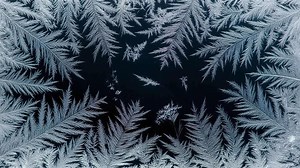 Intricate Frost Patterns on a Window Pane in Winter.