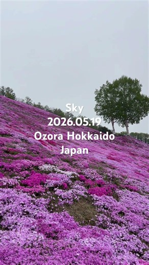 Sky 2026.05.19 日本北海道網走郡大空町的天空#1，Ozora Abashiri Hokkaido , Japan 。拍攝地點：北海道東藻琴芝櫻公園