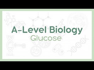 GLUCOSE : Alpha vs Beta Glucose | A-Level Biology (AQA, OCR, Edexcel)