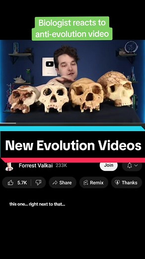 Evolution: Science, Biology, and Life