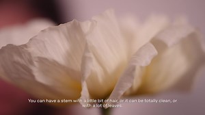 Spring Comes from Within⁠ As we enter the new season, Fritz Hansen invited Copenhagen-based flower artists to share their fervour and philosophy for flowers and re-interpret the Japanese-inspired Ikebana vase by Jaime Hayon. ⁠ ⁠ For flower artist Marie Arnette from Tableau – a multidisciplinary studio with a speciality in floral installations, working with flowers is a way of being present, staying grounded and conveying feelings. ⁠ ⁠ “Arranging flowers is a way to be mindful and express yoursel