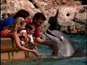 SeaWorld Orlando Commercial (2004)