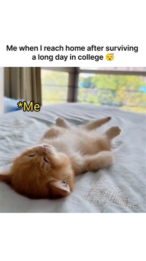 LectureNotes AI | Download LectureNotes Ai now, because when it takes notes for you in class, even the longest college day doesn’t leave you drained. 📚 ⚡... | Instagram