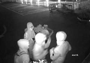 68K views · 261 reactions | Last year some may remember our lit tree in the car park was vandalised, this tree has only been up for 1 day and has already attracted the attention of vandals. We are looking for your help in identifying the 4 hooded youths caught on CCTV who decided to vandalise a car belonging to Busy Bee on the 5th of November at 20.21pm. We will be offering a reward for information that will help us to identify these vandals. | Busy Bee Garden Centre | Facebook