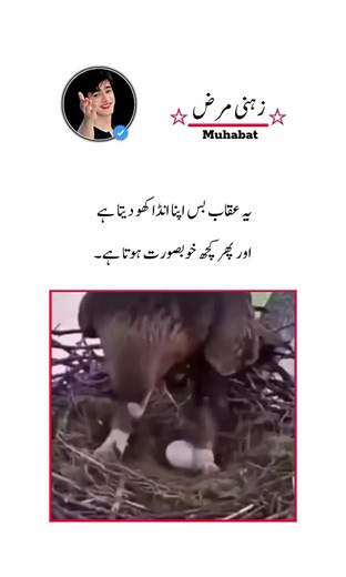 Cayot Grill Hag and Kis Top 10 — Pakistani & Pashto Music & Trends