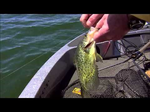 Early Season Crappie Action!