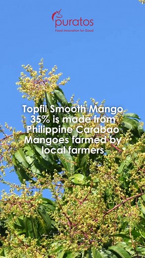 Enjoy the taste of Philippine Carabao mangoes as your favorite pastry or bread topping with Topfil Smooth Mango. #puratosph #realmangoes | Puratos Philippines