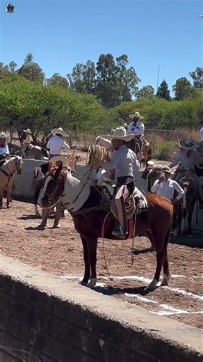 Cowboys Don’t Want You to Know This Lasso Technique 😱