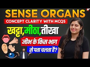 Sense Organs | How Senses Works | Sense Organs Concepts by Ritika Mam | SSC LAB