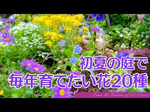 【ガーデニング】🍀 初夏の庭 毎年育てたい花20種