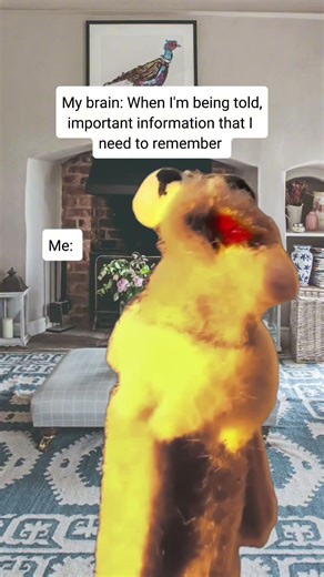 lalalalala #funny #memes #adhd #neurospicy