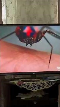 Spider 🕷️ with Magic Trick 🪄✨ l#spider #magic #tricks #shorts