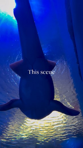 We took a day to explore the Loveland Living Planet Aquarium, and...