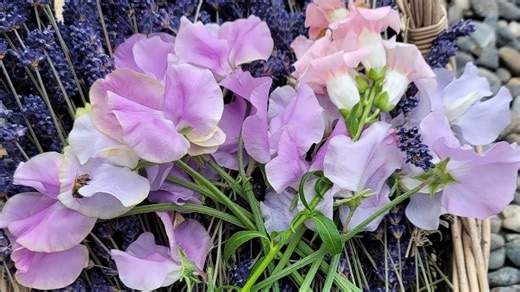 The viral new craft idea DIYers are obsessed with in 2025!