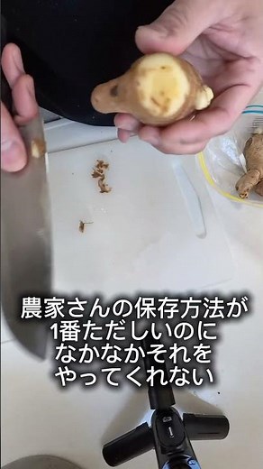 Farmers' methods for preserving ginger