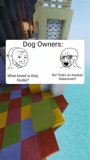 Cute Animal Memes