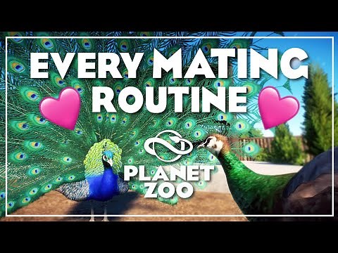 Every animal mating routine in Planet Zoo