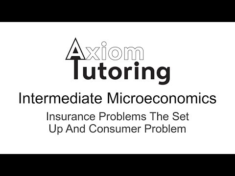 18 Insurance problems The set up and consumer problem