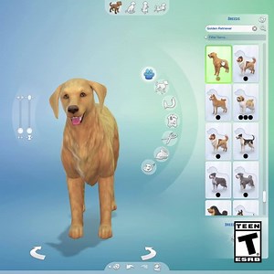 660K views · 121 reactions | Create and customize the cats and dogs...