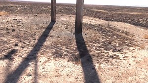 Wildfire season is a harsh but unavoidable reality in Idaho. Every summer, fires burn thousands of acres throughout Idaho Power’s service area. Wooden power poles might seem like an easy target for a wildfire. But thanks to Idaho Power’s vegetation management programs, countless poles are saved from destruction. Check it out! | Idaho Power